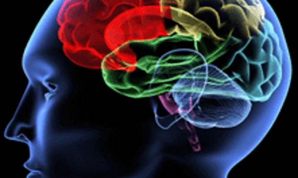 Μυστηριώδης νόσος που προκαλεί αμνησία και παραισθήσεις